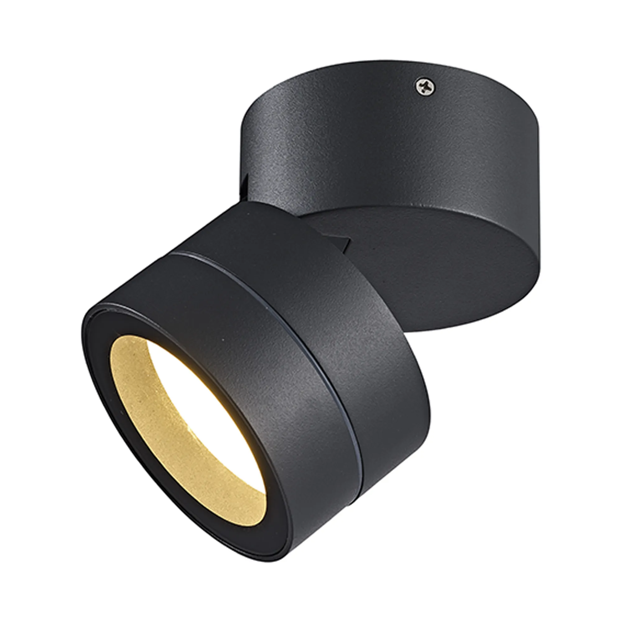 M9100  Saler Adjustable Ceiling Spotlight/Wall Light, 1 Light GX53, Dark Grey, IP65